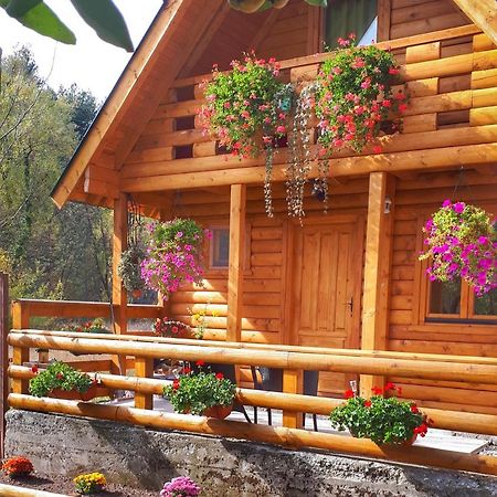 Brvnara Borovik Villa Cetinje Buitenkant foto