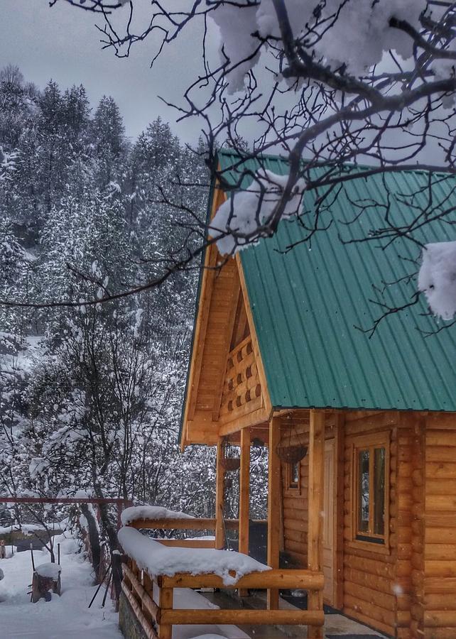 Brvnara Borovik Villa Cetinje Buitenkant foto
