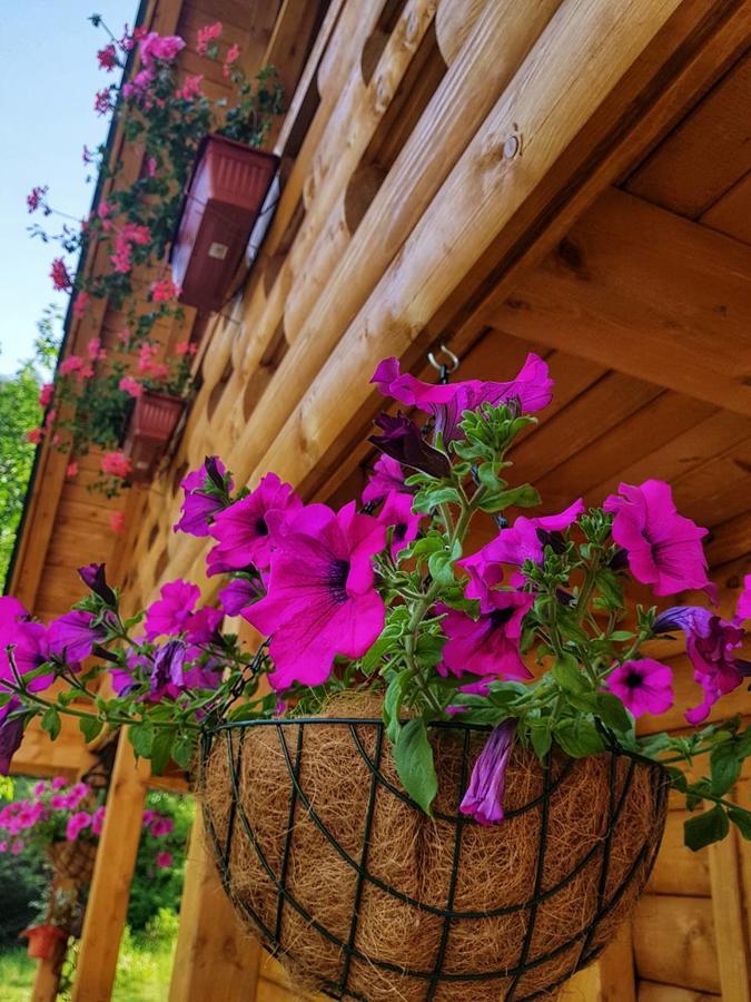 Brvnara Borovik Villa Cetinje Buitenkant foto