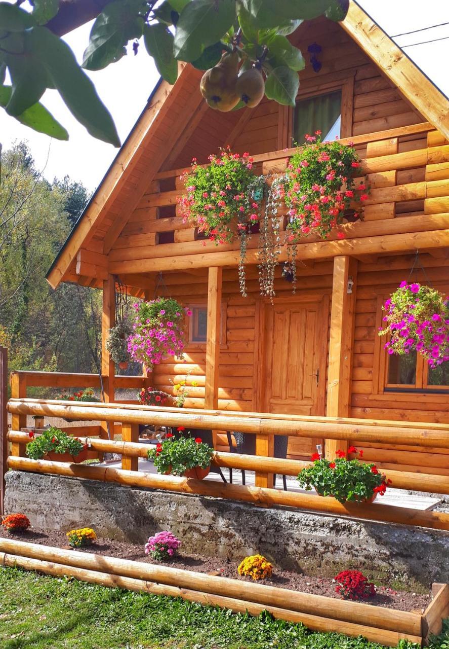 Brvnara Borovik Villa Cetinje Buitenkant foto