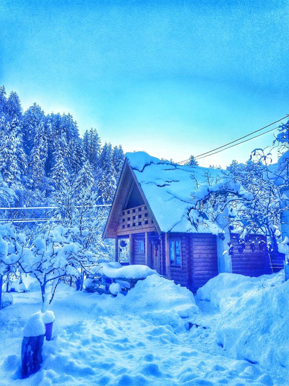 Brvnara Borovik Villa Cetinje Buitenkant foto